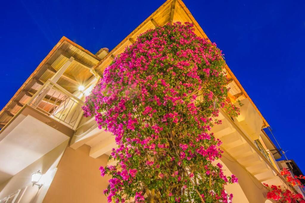 Villa Emily Zakynthos Τσιλιβί Εξωτερικό φωτογραφία
