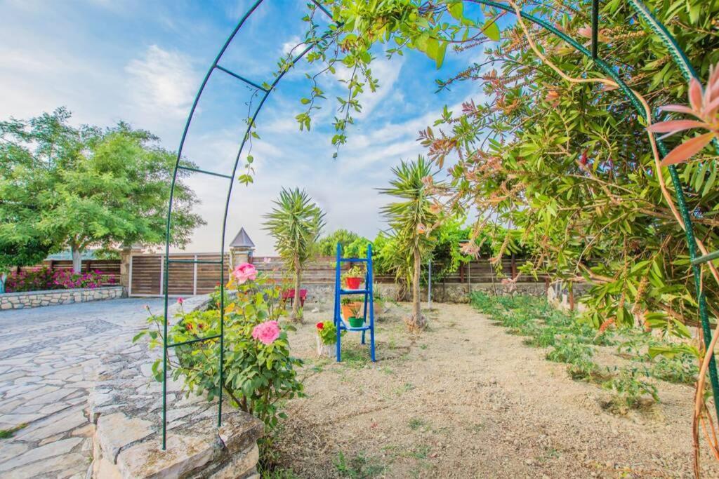 Villa Emily Zakynthos Τσιλιβί Εξωτερικό φωτογραφία